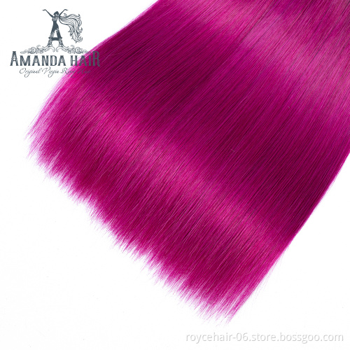Amanda Wholesale Price Cuticle Aligned Human Hair Bundles with Closure Two tone color Hair T1b Purple